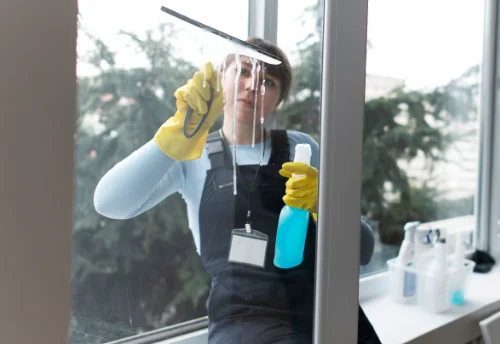 Nettoyage de vitres intérieures et extérieures à Buisson